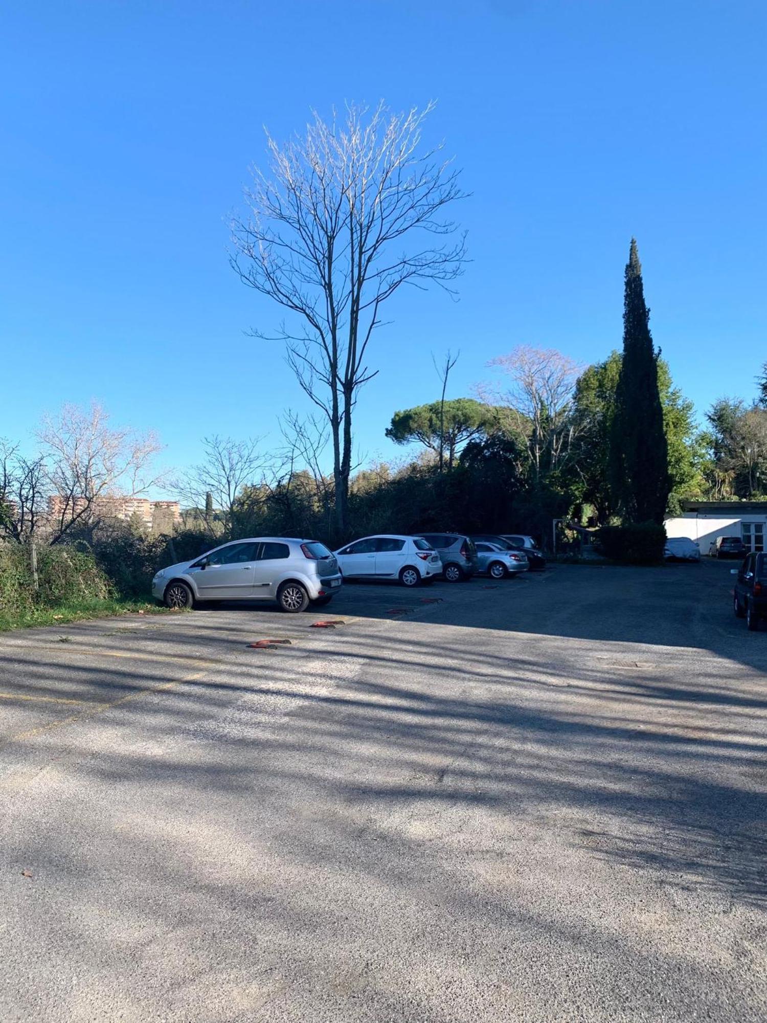 Aurelia House Garden Appartement Rome Buitenkant foto